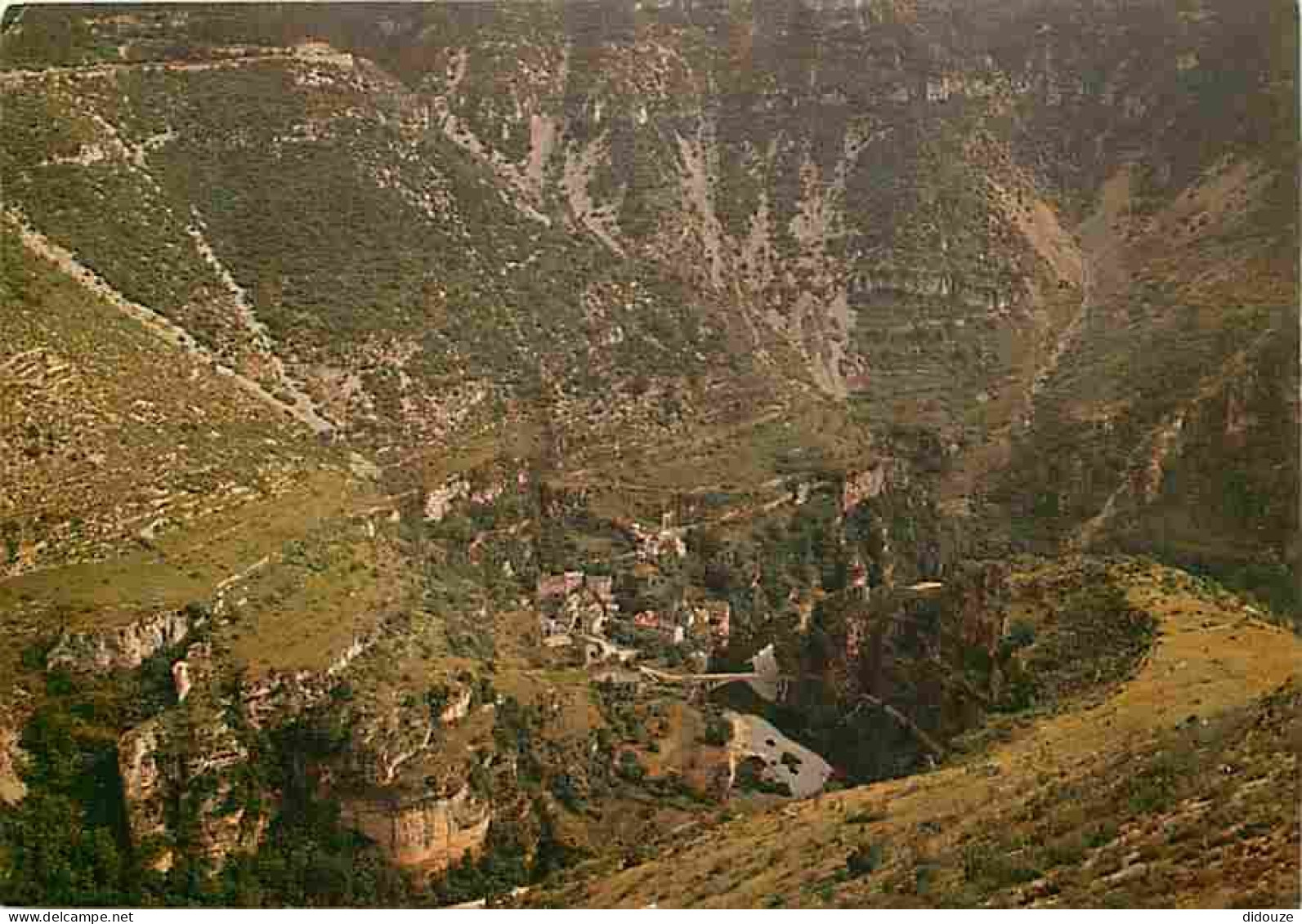 48 - Les Gorges Du Tarn - Paysages Des Causses - Panorama Sur Le Cirque De Saint-Chély - CPM - Voir Scans Recto-Verso - Gorges Du Tarn