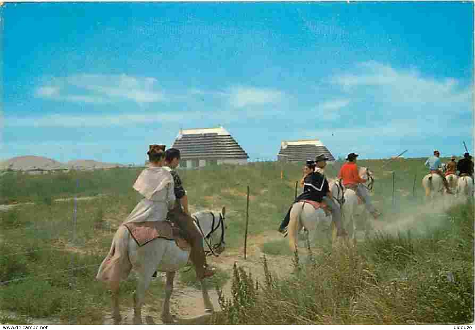 Animaux - Chevaux - Camargue - Gardians Et Arlésiennes à Cheval Et Cabanes De Gardians Aux Saintes - CPM - Voir Scans Re - Pferde