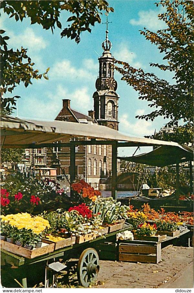 Pays-Bas - Nederland - Amsterdam - CPM - Voir Scans Recto-Verso - Amsterdam