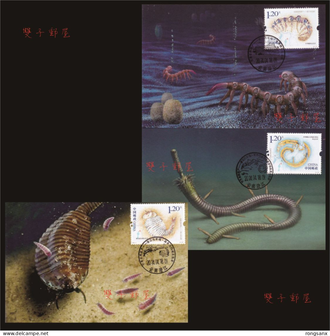 2024-4 China Chengjiang Fossil Land LOCAL MC-S II - Tarjetas – Máxima