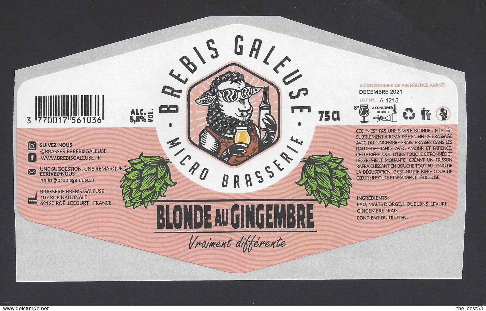 Etiquette De Bière Au Gingembre  -  Brasserie Brebis Galeuse  à  Roëllecourt  (62) - Bière