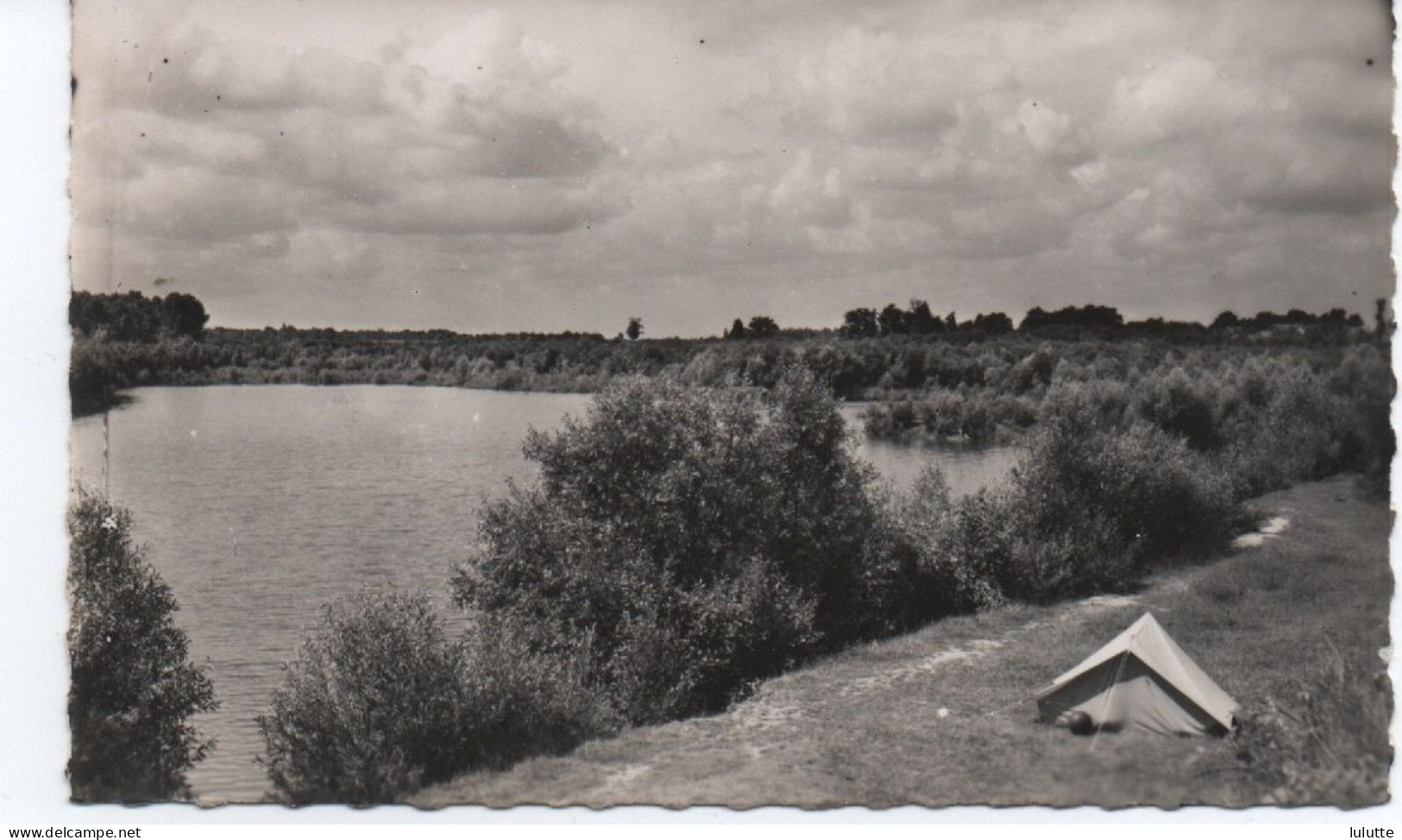 Morsang Sur Orge La Gribelette Les Bords Du Lac Piketty 1952 - Morsang Sur Orge