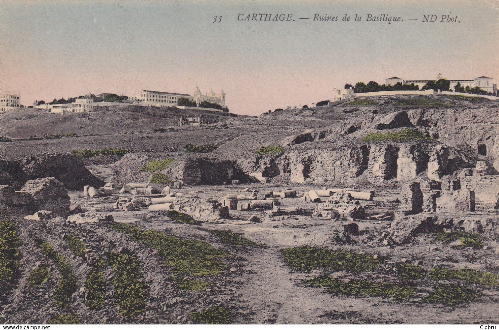 Tunisie, Carthage, Ruines De La Basilique - Tunisia