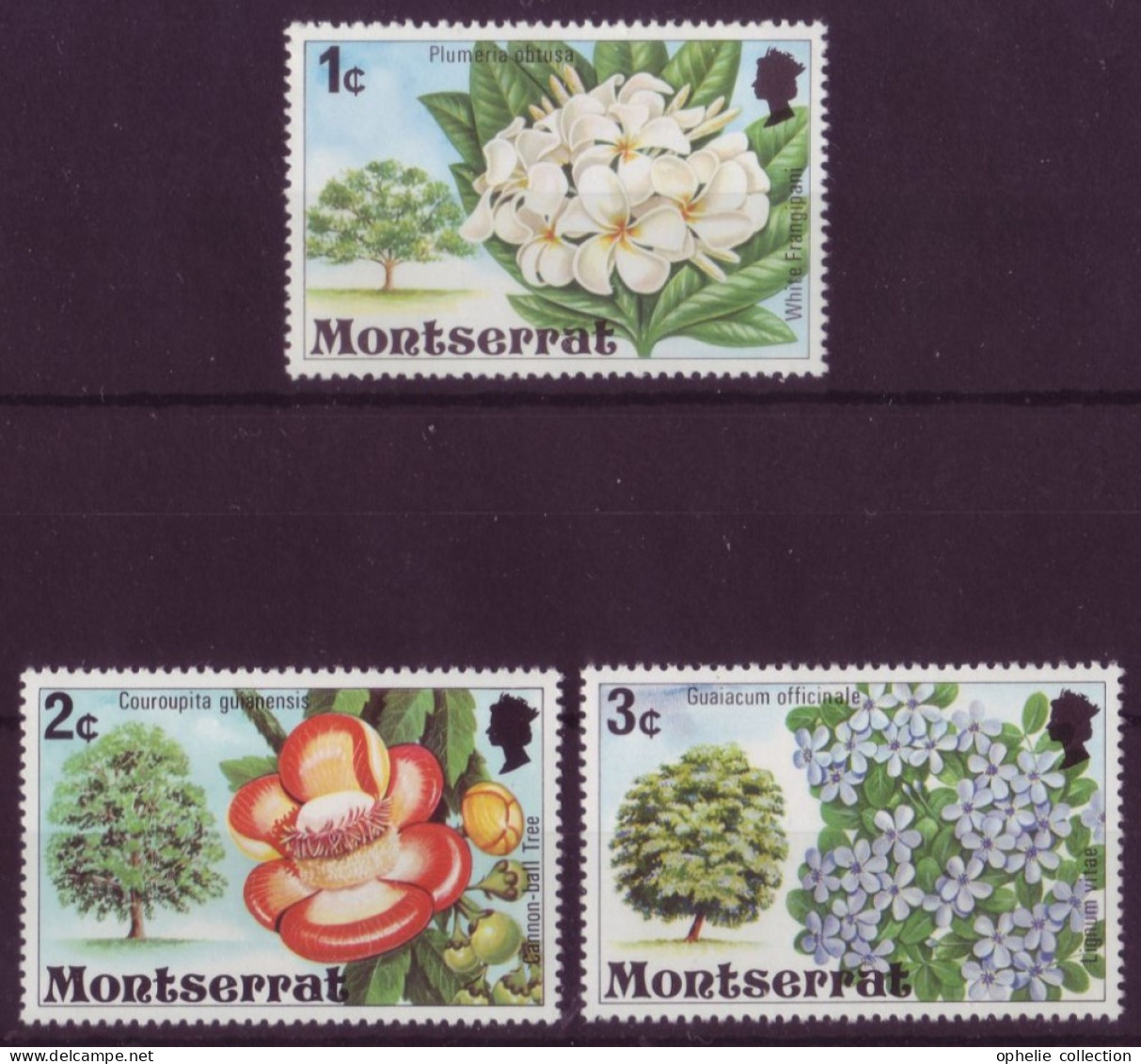 Amérique - Montserrat - Flore - 3 Timbres Différents - 7324 - Amerika (Varia)