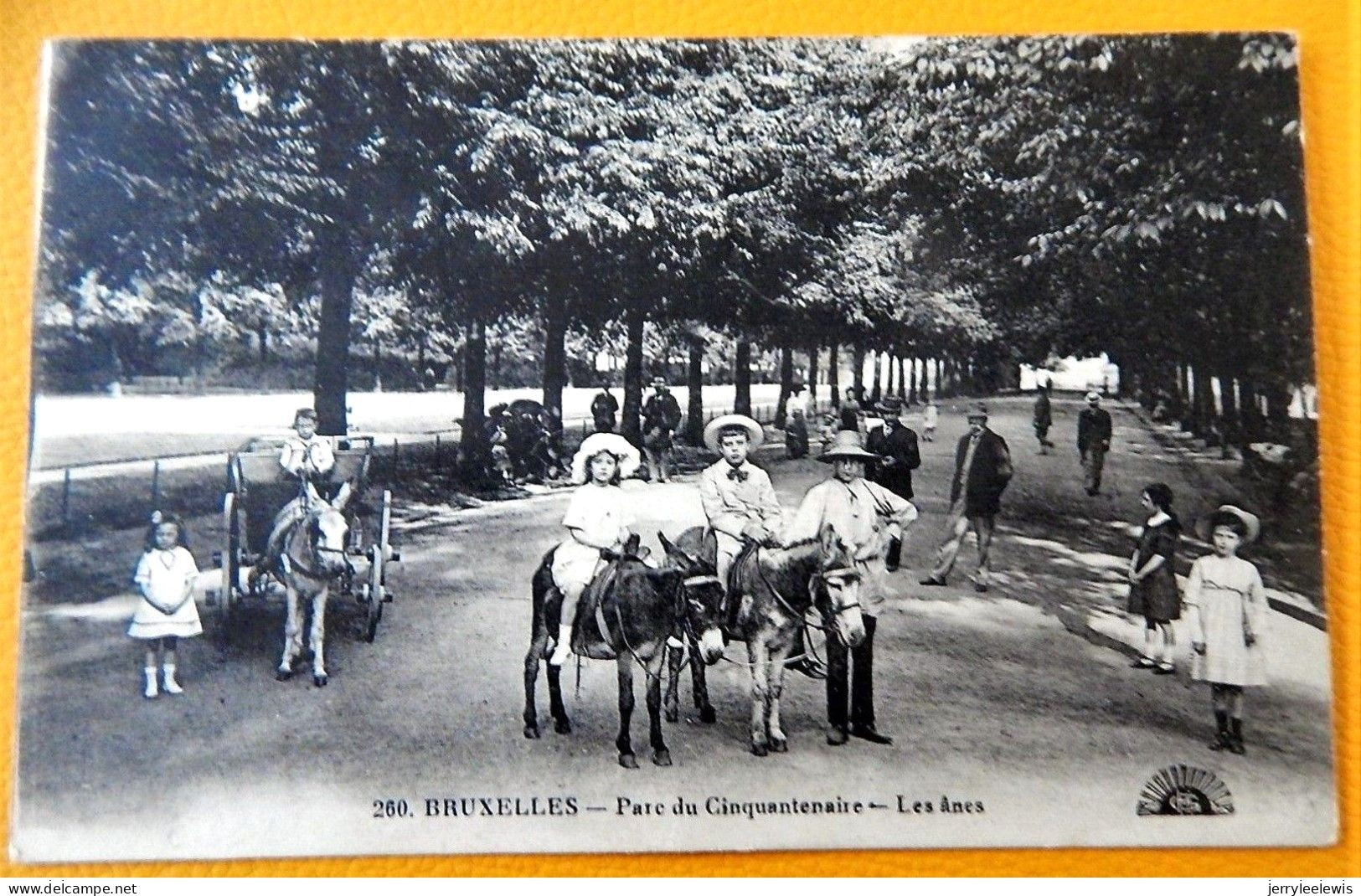 BRUXELLES -  Les ânes  -  Parc Du Cinquantenaire  -  1920 - Forests, Parks