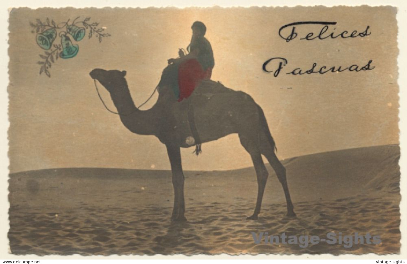 Maghreb: Berber On Camel In The Sunset (Vintage Hand Colored RPPC 1920s/1930s) - Other & Unclassified