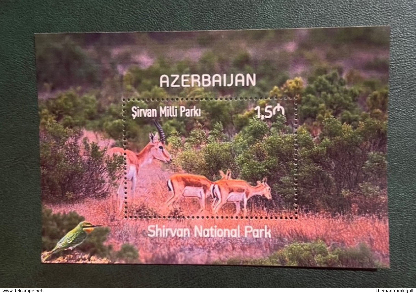 Azerbaijan 2022 - Sirvan National Park. - Azerbaijan