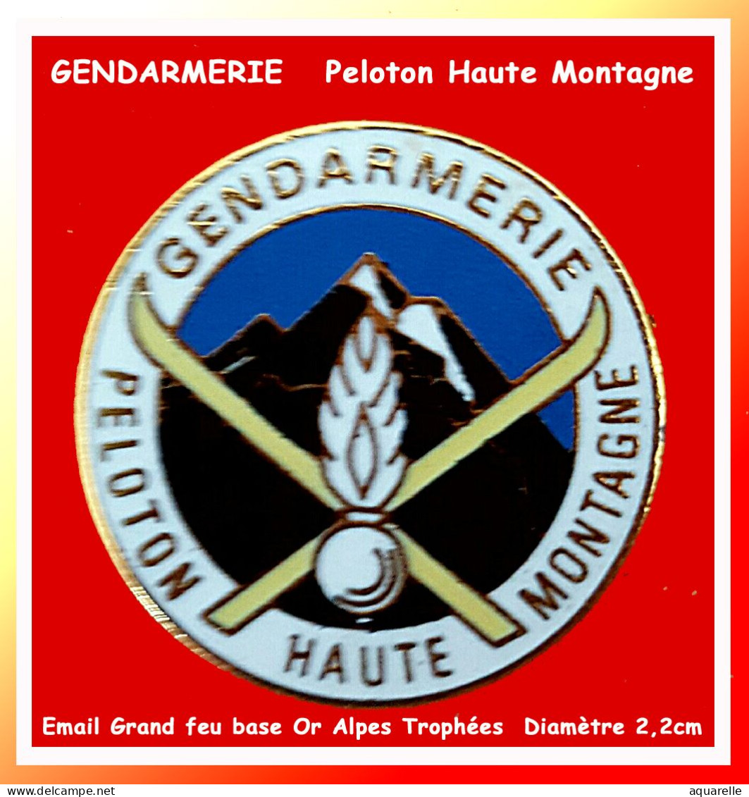 SUPER PIN'S "GENDARMERIE "PRLOTON HAUTE MONTAGNE, émaillé Grand Feu Base Or, Signé Alpes Trophées, Diamètre 2,3cm - Militares