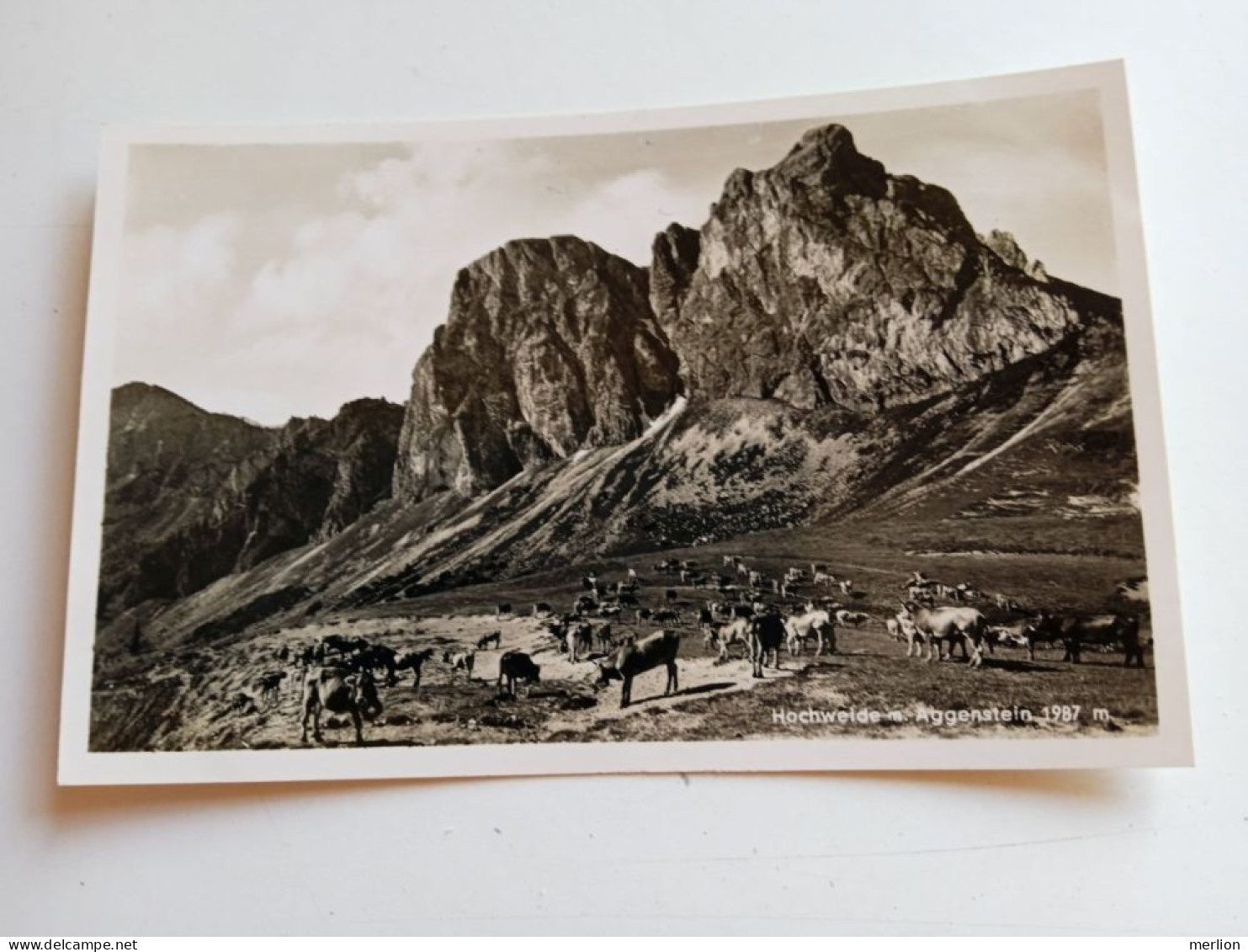 D202609  AK CPA - Hochweide Aggenstein Alpine Pasture  - Pâturage 1930's  FOTO-AK - Autres & Non Classés