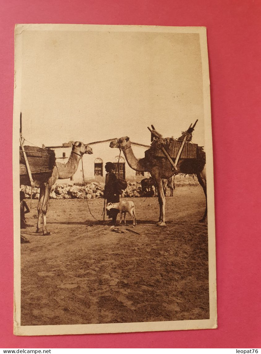 Côte Des Somalis - Carte Postale De Djibouti Pour La France En 1947 - Réf 3536 - Covers & Documents