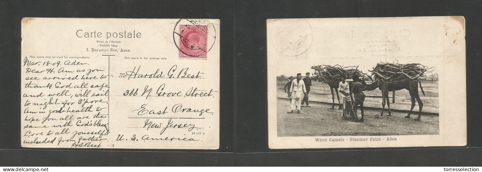 BC - Aden. C. 1909 (18 Sept) GPO - USA, East Orange, NJ. India Fkd Ppc Tied Cds. Fine. Wood Camels. SALE. - Altri & Non Classificati