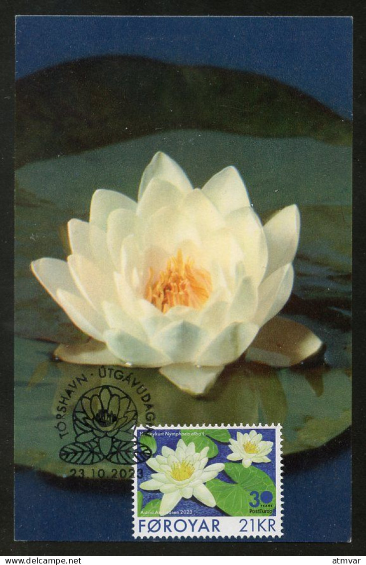 FAROE ISLANDS (2023) Carte Maximum Card - PostEurop White-Water Lily, Nymphaea Alba, Nénuphar Blanc, Seerose, Nenúfar - Faroe Islands