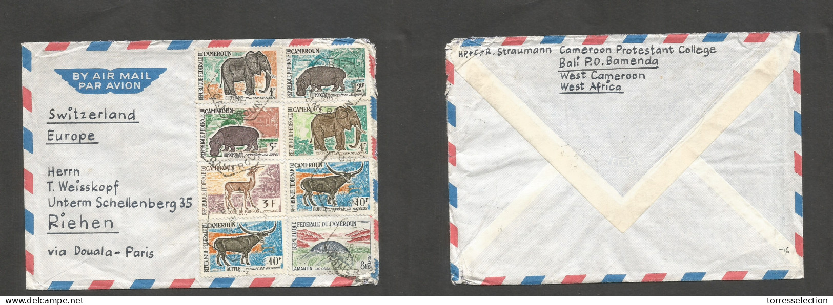 FRC - Cameroun. 1963 (26 Jan) Bali - Bamenda - Switzerland, Riehen, Air Multifkd Env. Fauna Issue. Elephants + Hippos. V - Autres & Non Classés