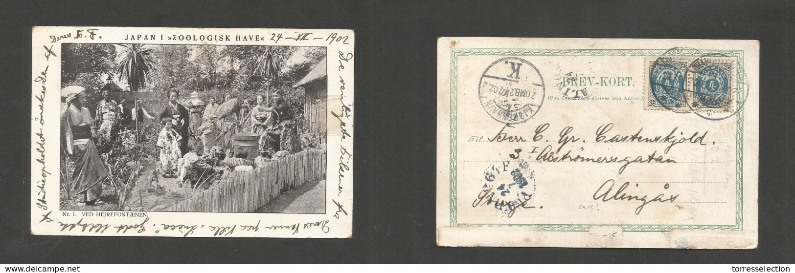 DENMARK. 1902 (24 July) Cph - Alingas, Sweden. Japan I Zoologisk Have Photo Ppc. Fkd Most Interesting Card. SALE. - Other & Unclassified