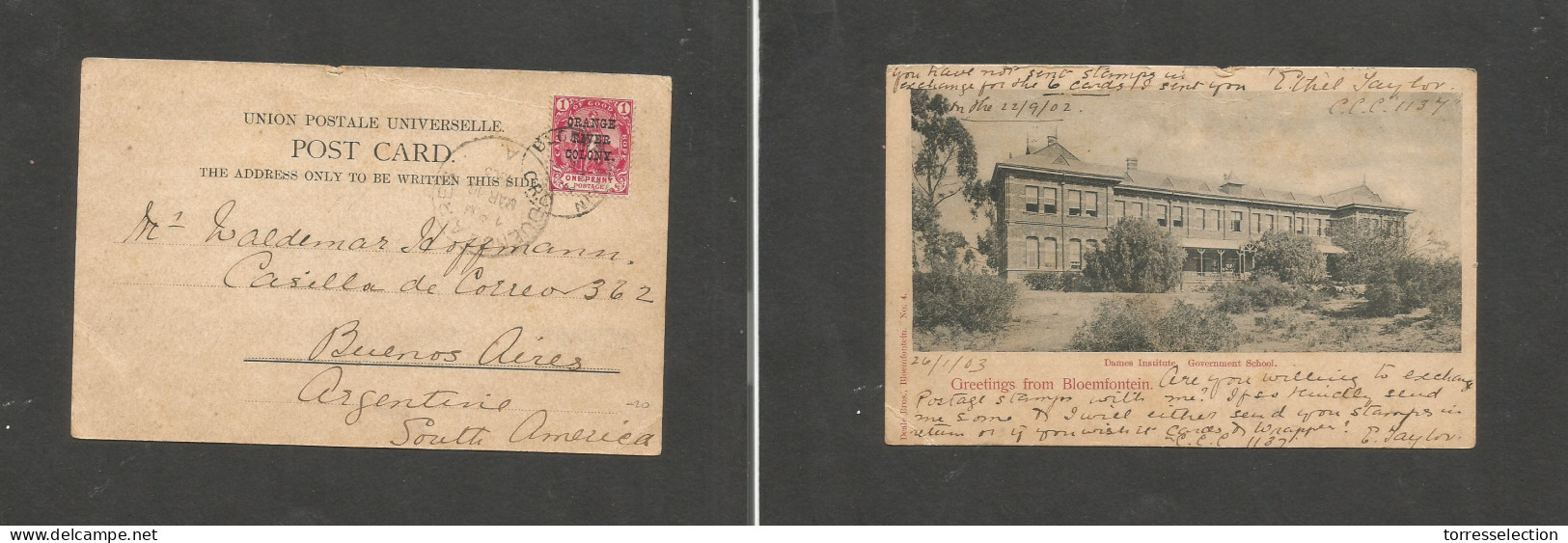 SOUTH AFRICA. 1902 (22 Sept) ORC. Bloemfontain - Argentina, Buenos Aires. Fkd Ppc. Dames Institute S. American Destinati - Other & Unclassified