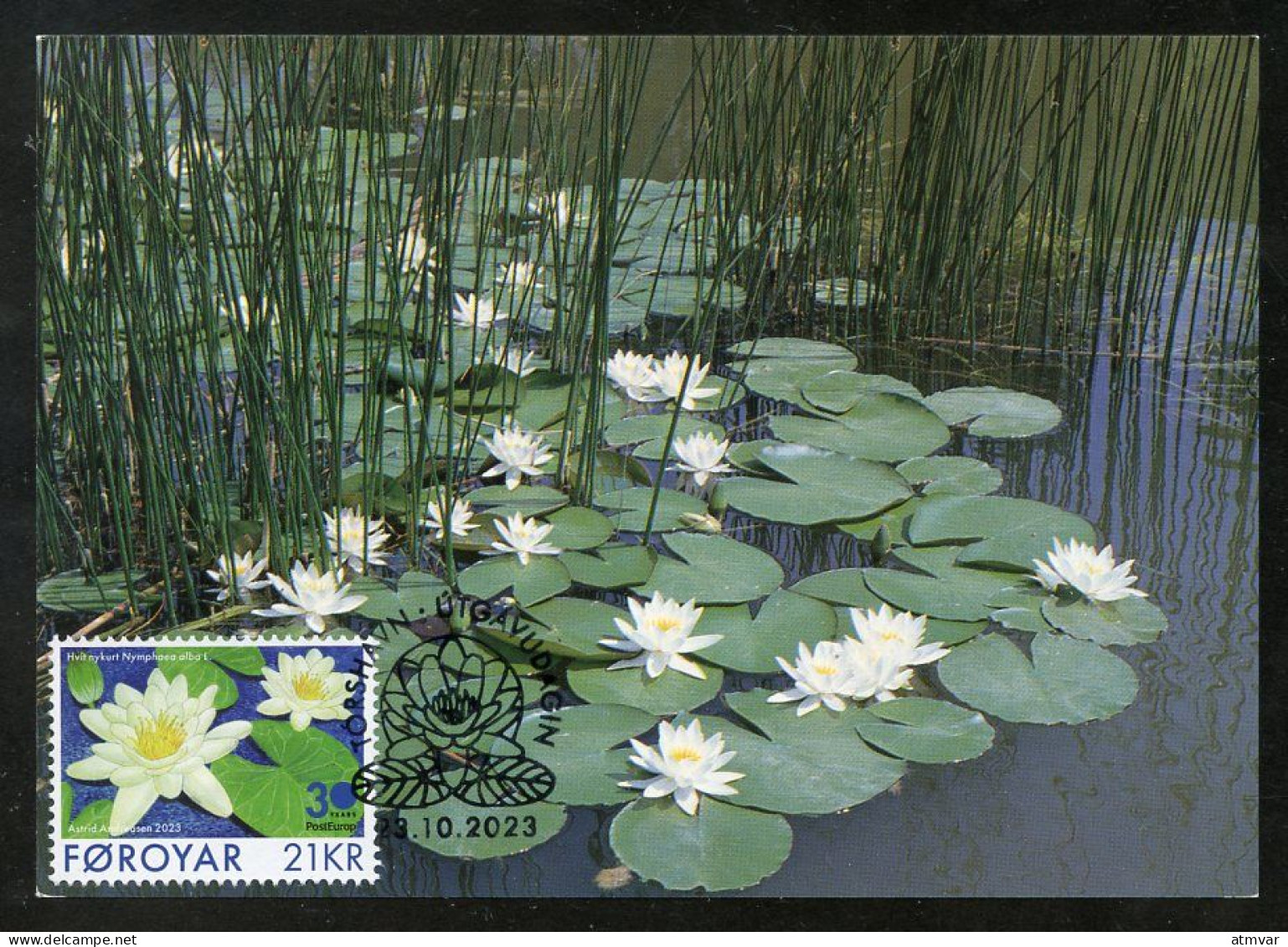 FAROE ISLANDS (2023) Carte Maximum Card - PostEurop White-Water Lily, Nymphaea Alba, Nénuphar Blanc, Seerose, Nenúfar - Färöer Inseln