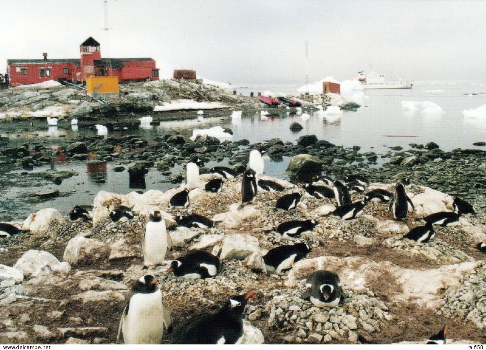 2 AK Antarctica / Antarktis * Base Gonzales Videla - Chilenische Forschungsstation In Paradise Harbour - Danco Coast * - Otros & Sin Clasificación