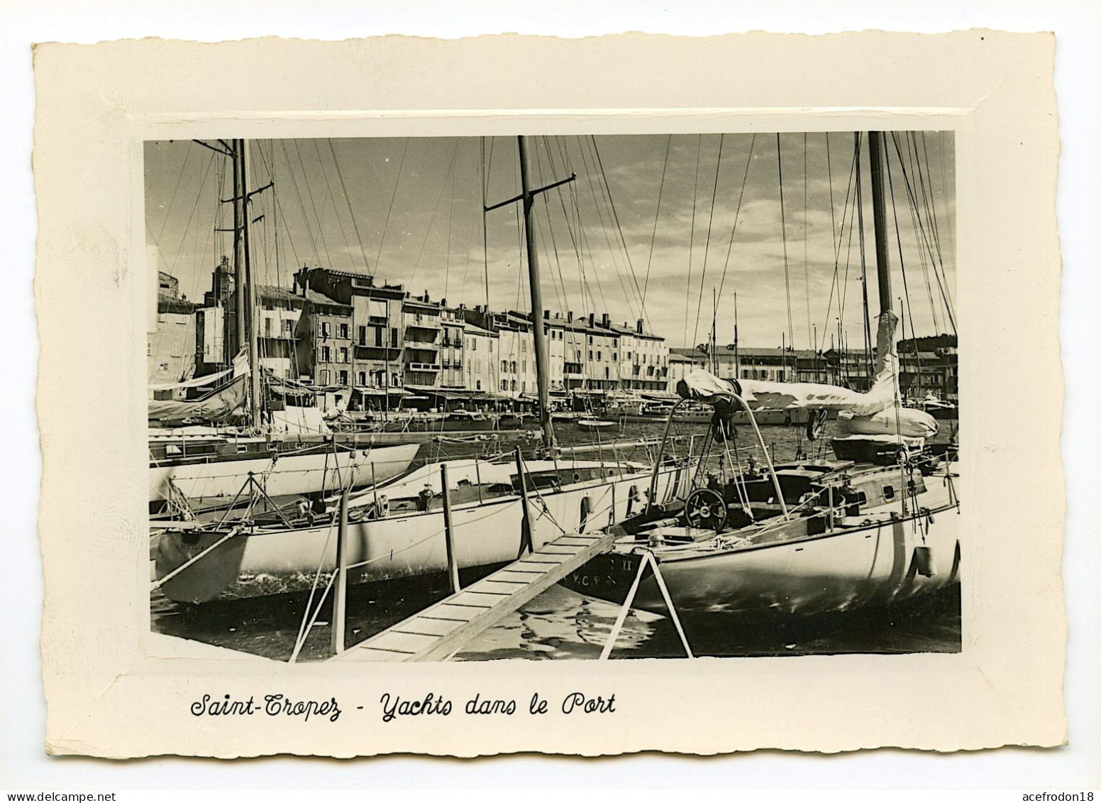 SAINT-TROPEZ - Yachts Dans Le Port - Saint-Tropez