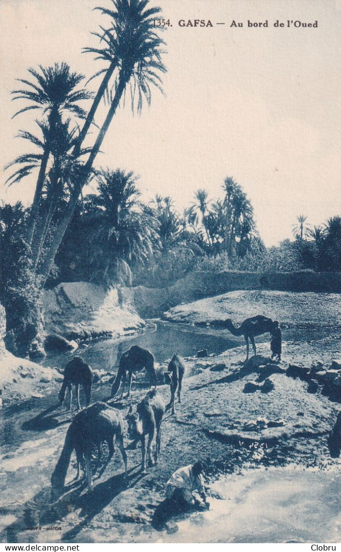 Tunisie, Gafsa, Au Bord De L’Oued - Tunisie