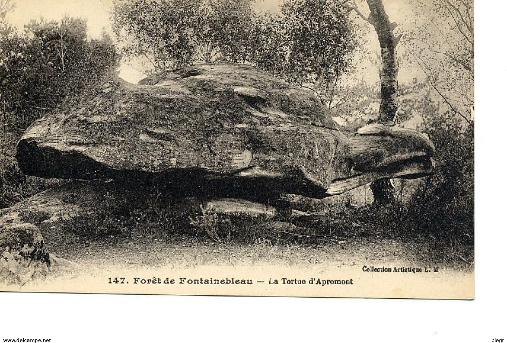 77186 01 70#0 - FORÊT DE FONTAINEBLEAU - LA TORTUE D'APREMONT - Fontainebleau