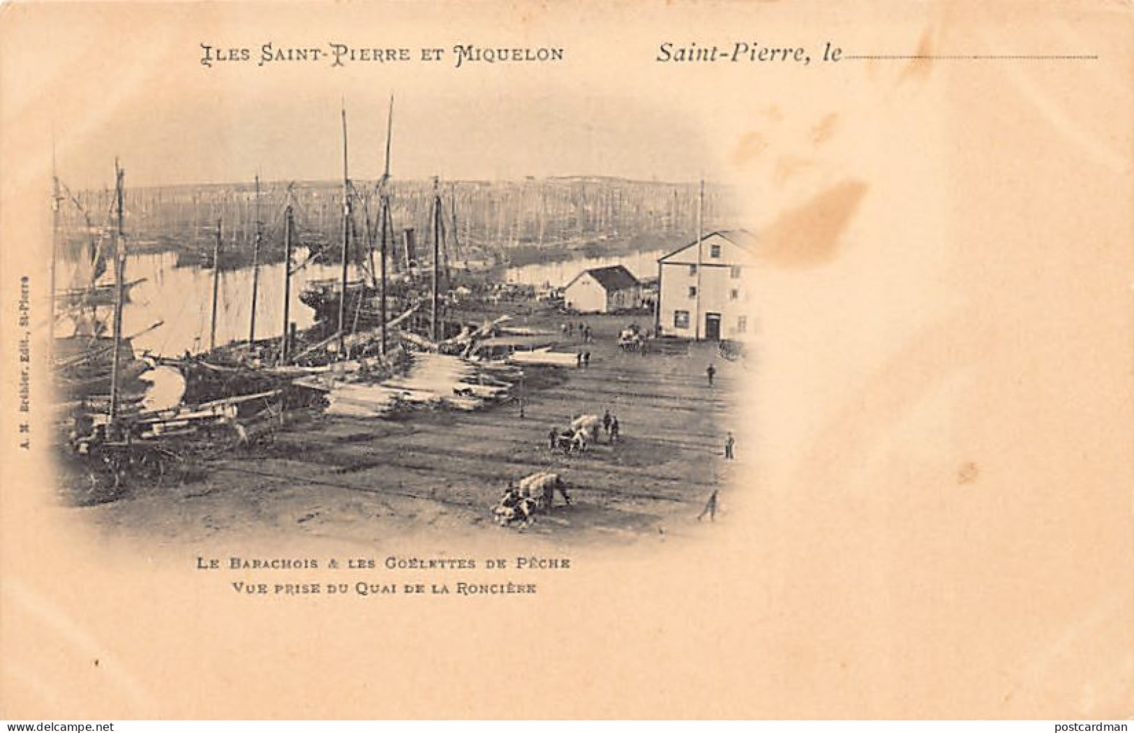 SAINT-PIERRE - Le Barachois Et Les Goélettes De Pêche - Vue Prise Du Quai De La Roncière - Ed. A. M. Bréhier  - Saint Pierre And Miquelon