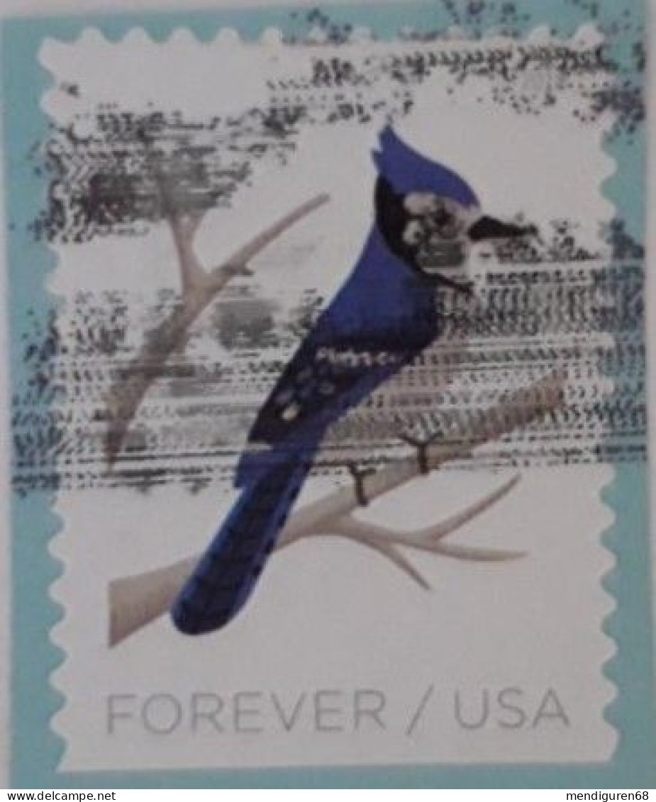 VERINIGTE STAATEN ETATS UNIS USA 2018 BIRDS IN WINTER: BLUE JAY F USED ON PAPER  SN 5319 MI 5539 YT 5157 - Gebraucht