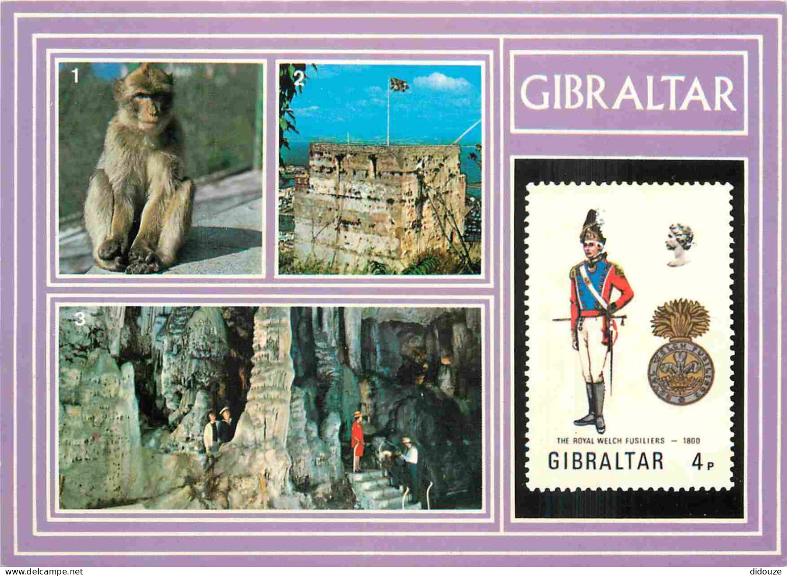 Gibraltar - Multivues - Singes - Représentation De Timbre - CPM - Voir Scans Recto-Verso - Gibraltar