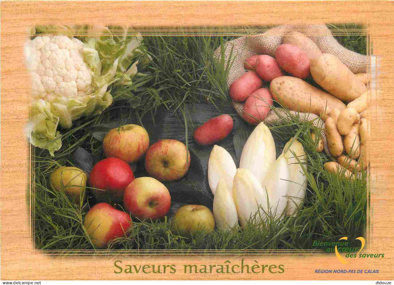 Recettes De Cuisine - Saveurs Maraichères - Pomme De Terre - Endives - Nord Pas De Calais - Gastronomie - CPM - Carte Ne - Recipes (cooking)