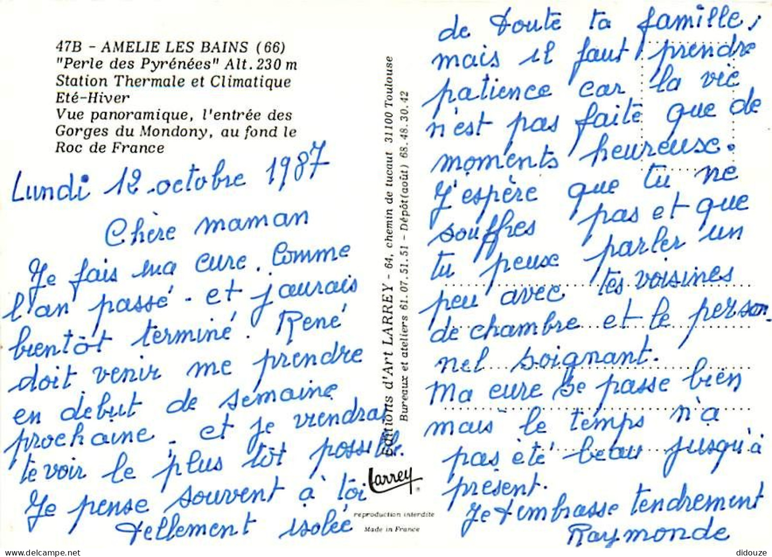 66 - Amélie Les Bains - Vue Générale Aérienne - Vue Panoramique  L'entrée Des Gorges Du Mondony  Au Fond Le Roc De Franc - Other & Unclassified