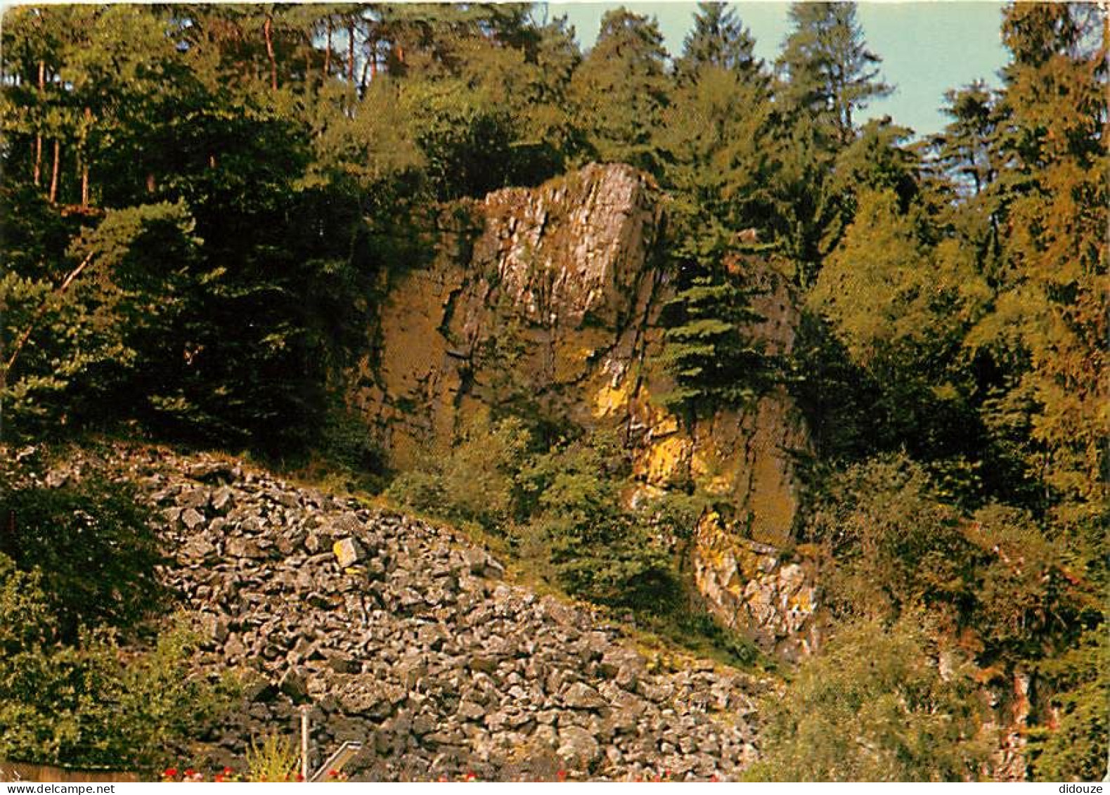 61 - Bagnoles De L'Orne - Le Rocher Du Roc Au Chien - Carte Neuve - CPM - Voir Scans Recto-Verso - Bagnoles De L'Orne