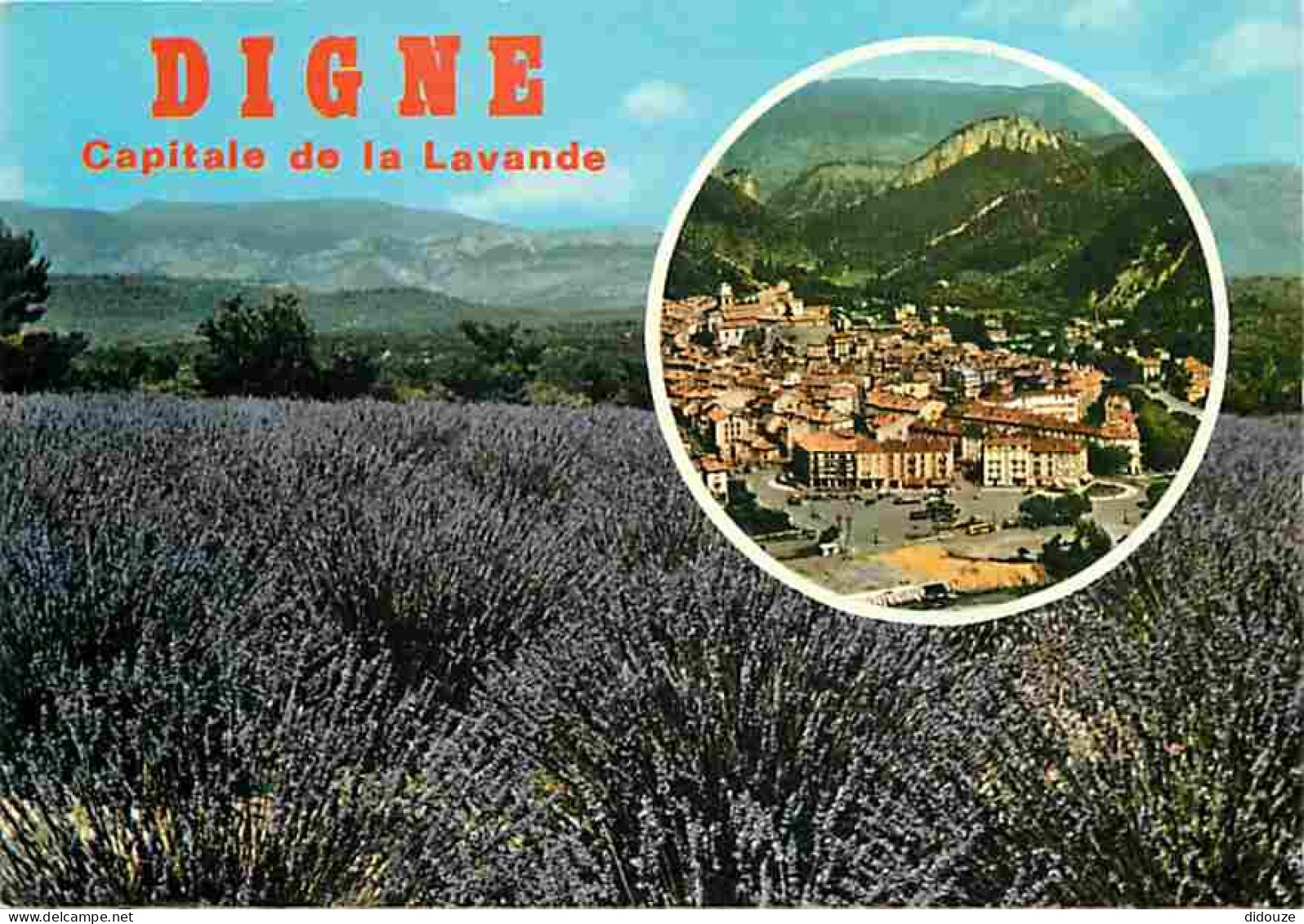 04 - Digne Les Bains - Vue Générale - Champs De Lavande - CPM - Voir Scans Recto-Verso - Digne