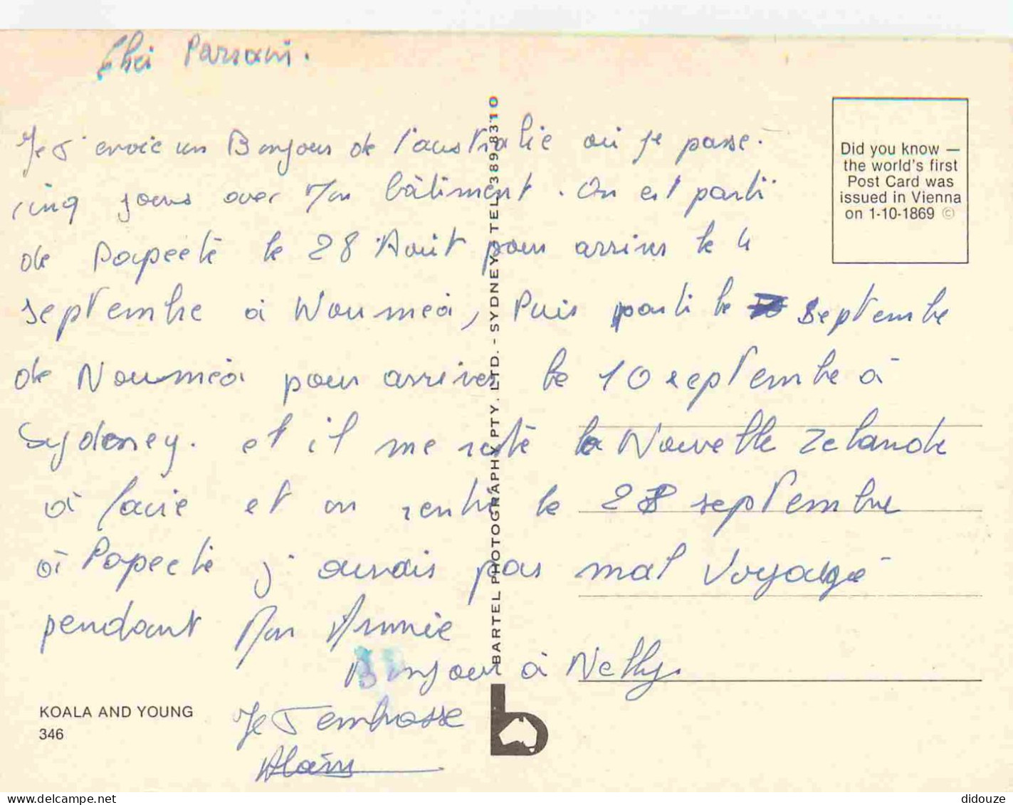 Animaux - Koala - Mère Et Son Petit - CPM - Voir Scans Recto-Verso - Other & Unclassified