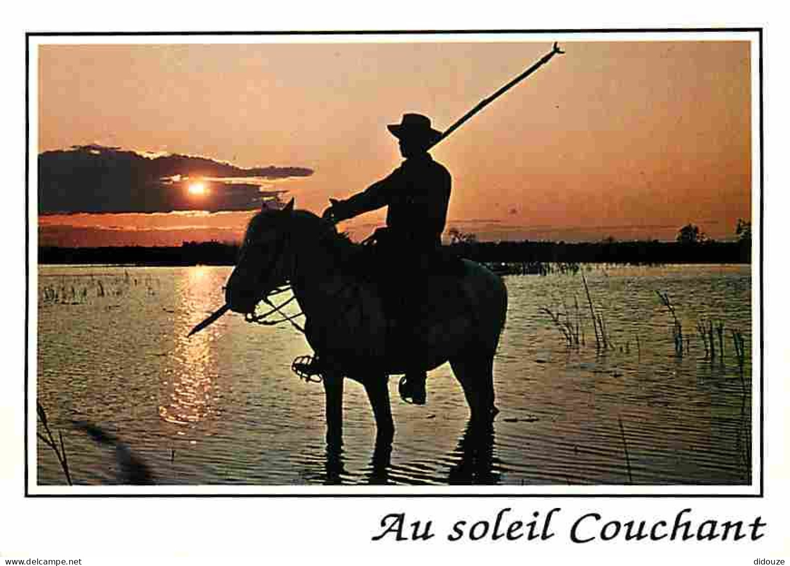 Animaux - Chevaux - Camargue - Coucher De Soleil - Gardians - Voir Scans Recto Verso  - Chevaux