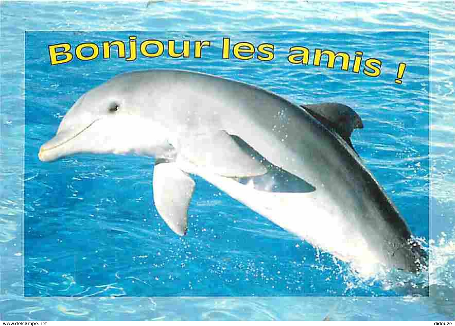 Animaux - Dauphins - CPM - Voir Scans Recto-Verso - Delfines