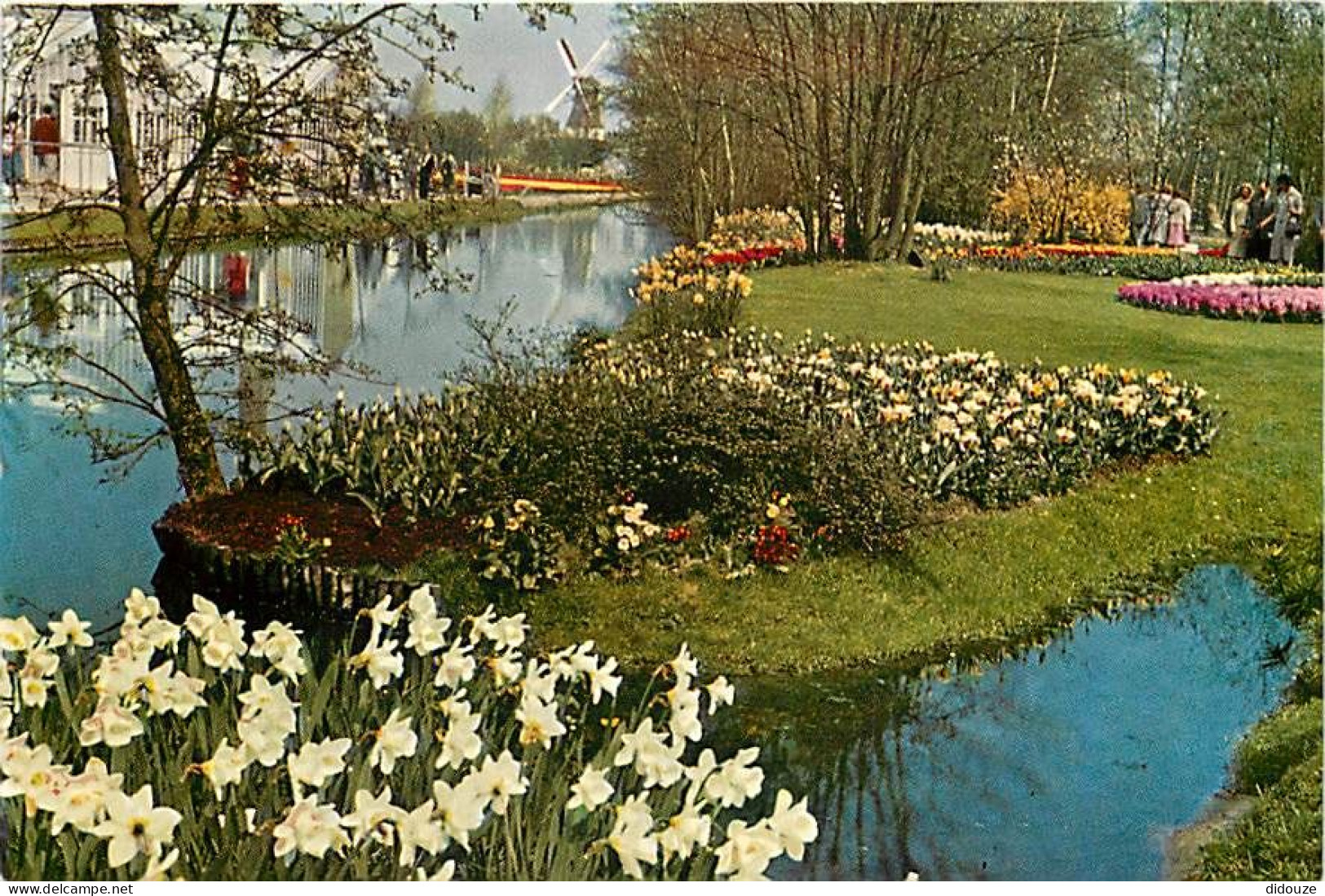 Pays-Bas - Nederland - Lisse - Keukenhof - Fleurs - CPM - Voir Scans Recto-Verso - Lisse