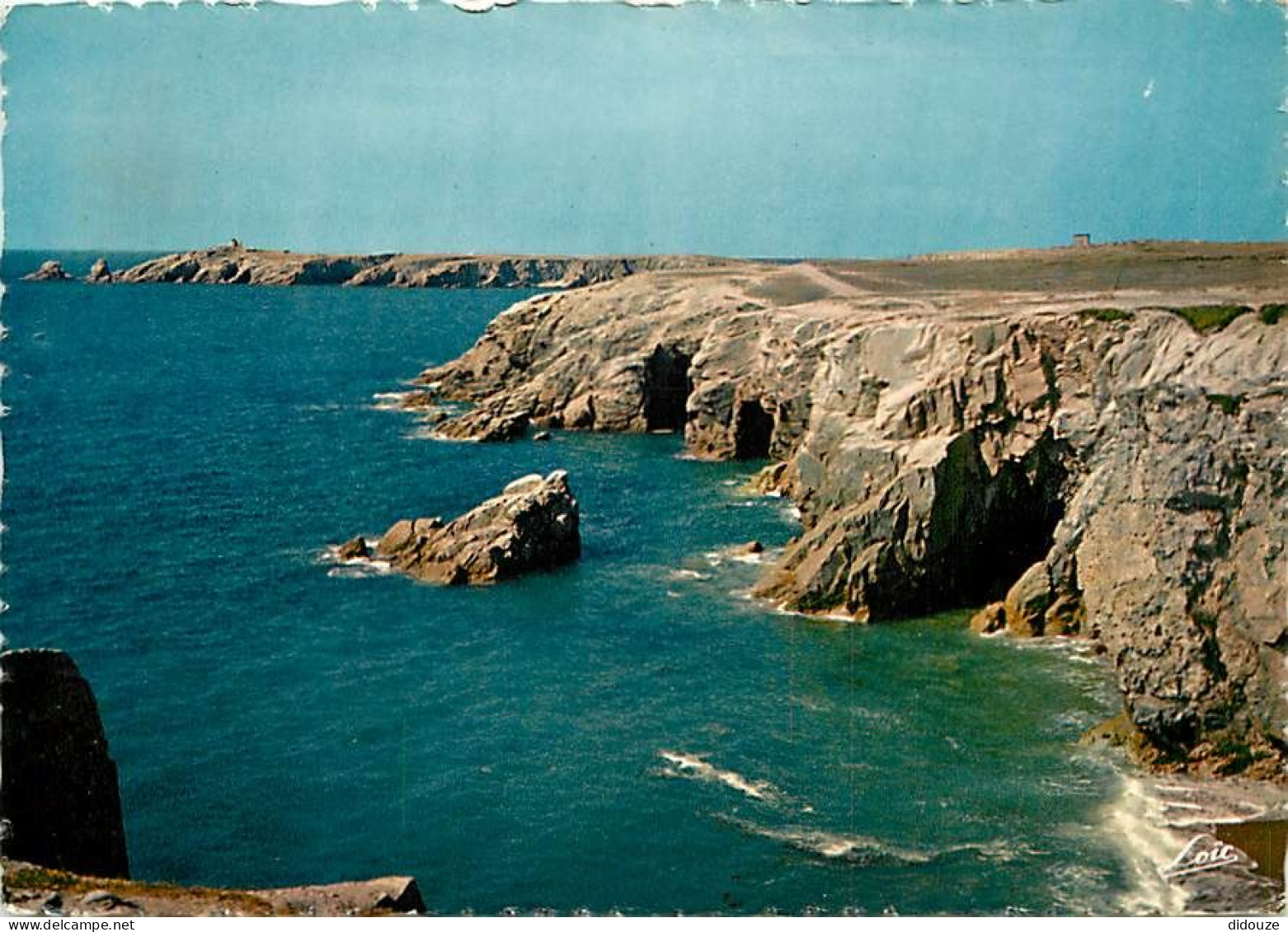 56 - Presqu'Ile De Quiberon - CPM - Voir Scans Recto-Verso - Quiberon