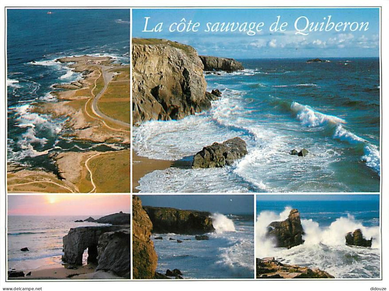 56 - Presqu'Ile De Quiberon - Multivues - CPM - Voir Scans Recto-Verso - Quiberon