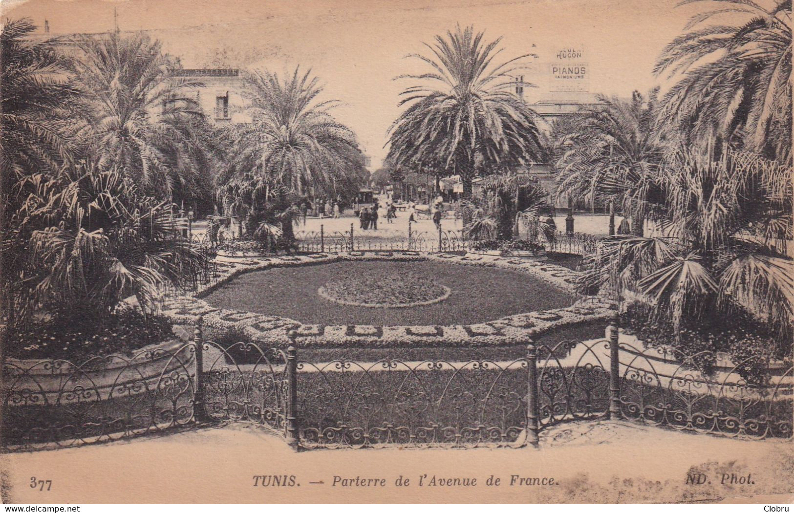 Tunisie, Tunis, Parterre De L’Avenue De France - Tunisie