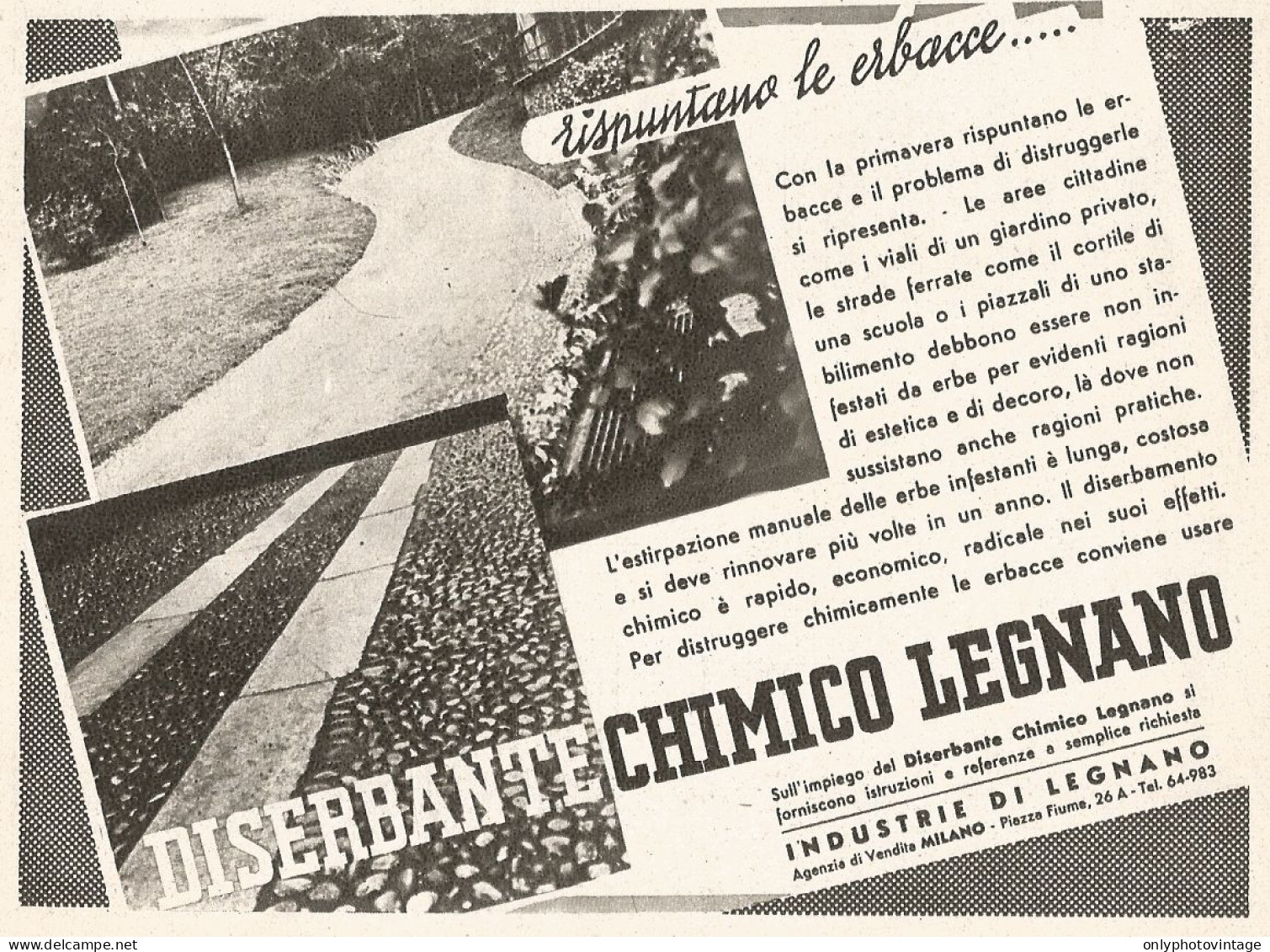 Diserbante Chimico Legnano - Rispuntano... - Pubblicità Del 1938 - Old Ad - Advertising