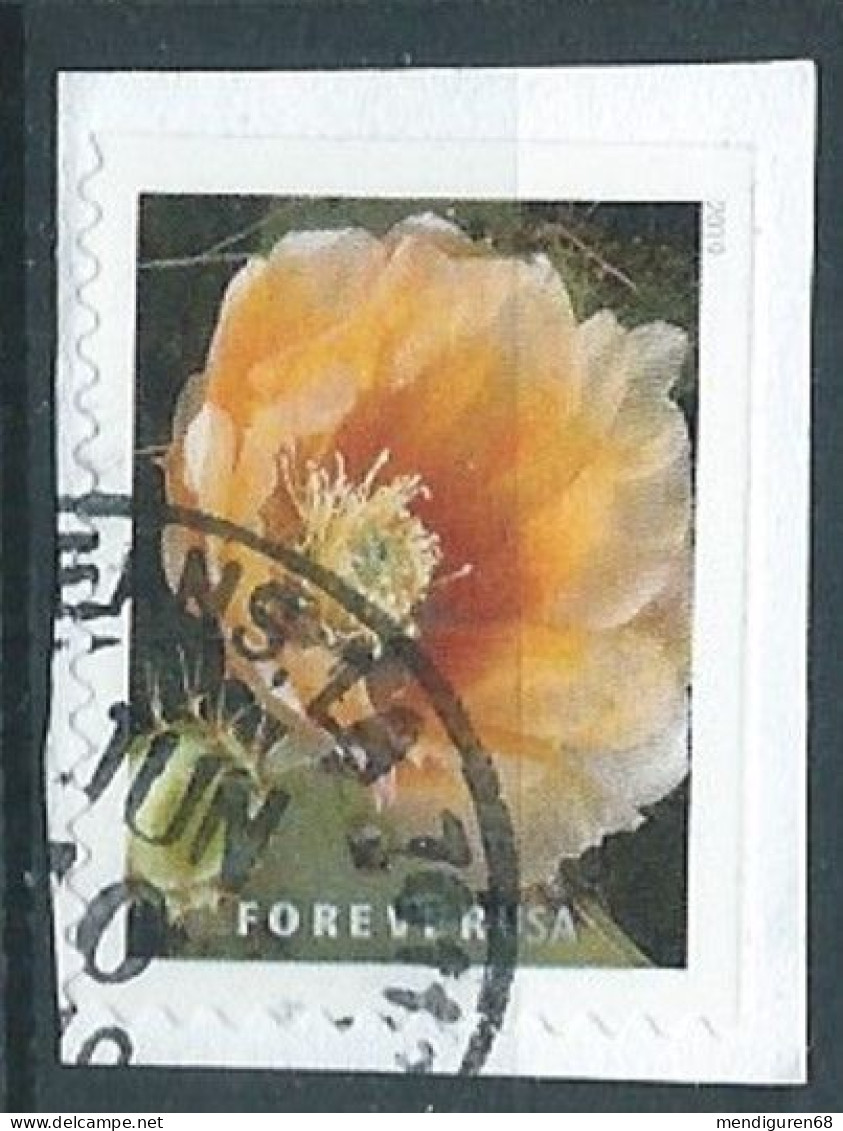 VERINIGTE STAATEN ETATS UNIS USA 2019 CACTUS FLOWERS: OPUNTIA ENGELMANNII F USED ON PAPER SN 5350 MI 5566 YT 5186 - Used Stamps