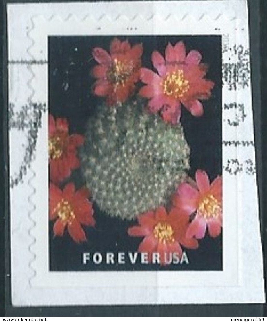 VERINIGTE STAATEN ETAS UNIS USA 2019 CACTUS FLOWERS: REBUTIA MINUSCULA F USED ON PAPER SN 5351 MI 5567 YT 5187 - Used Stamps