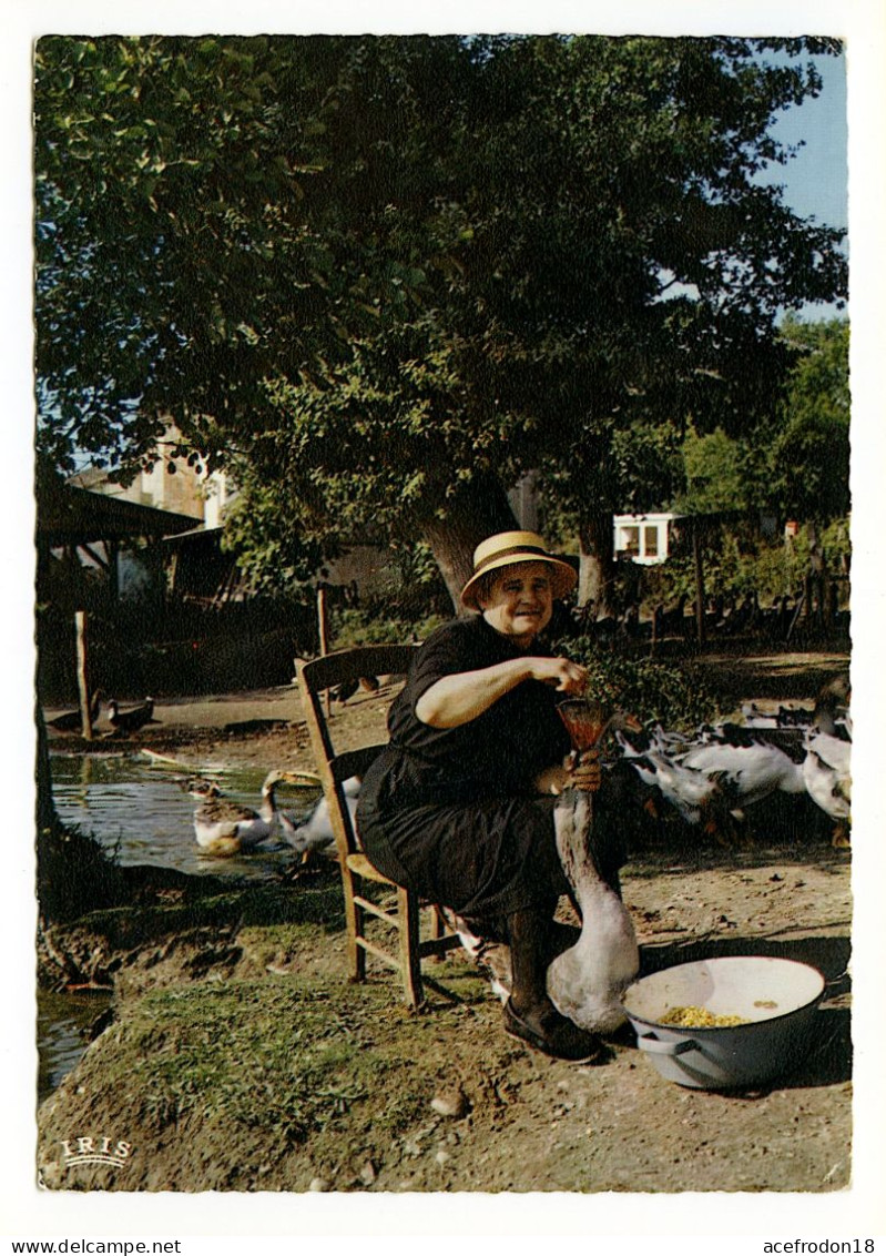 En GASCOGNE - La Gaveuse D'Oie - Auch