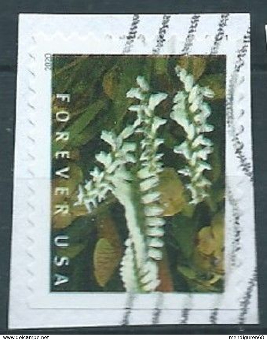 VEREINIGTE STAATEN ETATS UNIS USA 2020 WILD ORCHIDS: MARSH LADY'S TRESSES F USED ON PAPER SC 5449 MI 5677 YT 5296 - Used Stamps