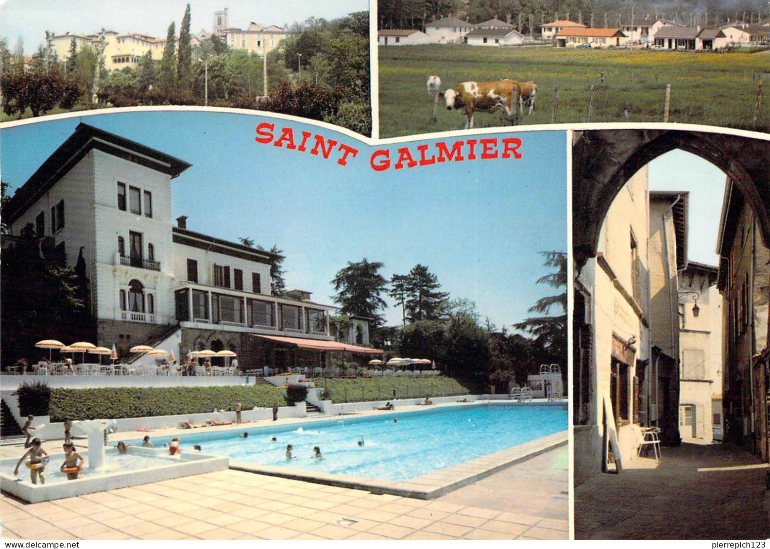 42 - Saint Galmier - Multivues - Other & Unclassified