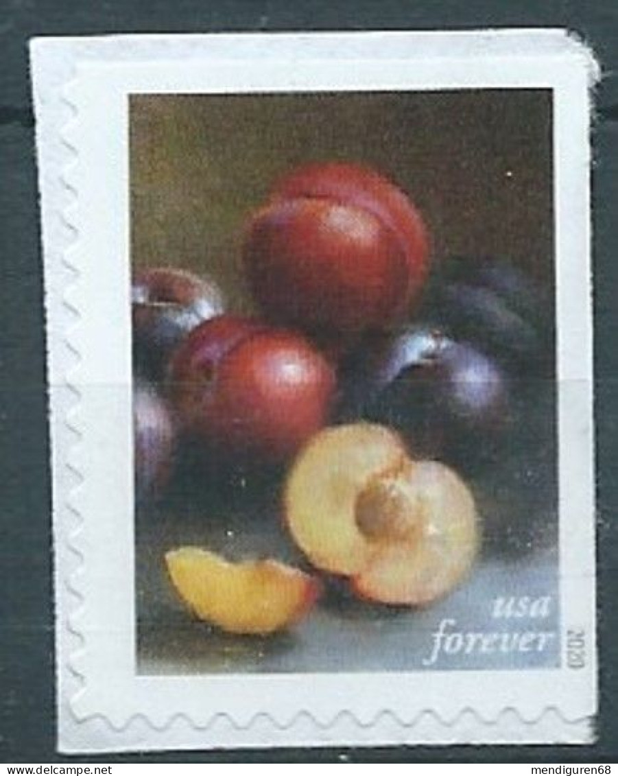VEREINIGTE STAATEN ETATS UNIS USA 2020 FRUITS AND VEGETABLES: PLUMS F USED ON PAPER SN 5484 MI 5722 YT 5331 SG 6099 - Usati