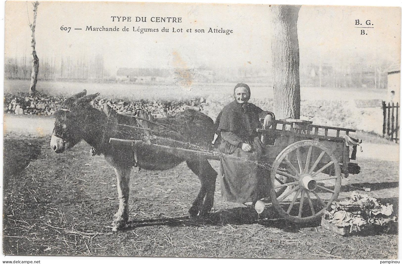 46 - Type Du Centre - Marchande De Légumes Du Lot Et Son Attelage D'ane - Altri & Non Classificati