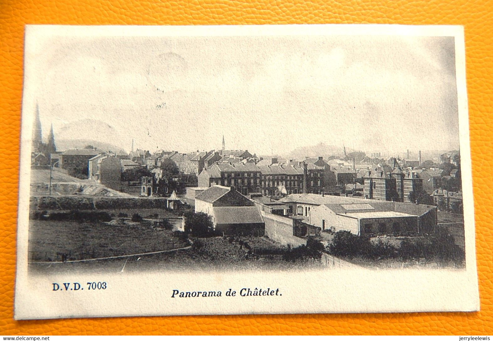 CHÂTELET  -  Panorama De Châtelet     -  1903 - Chatelet