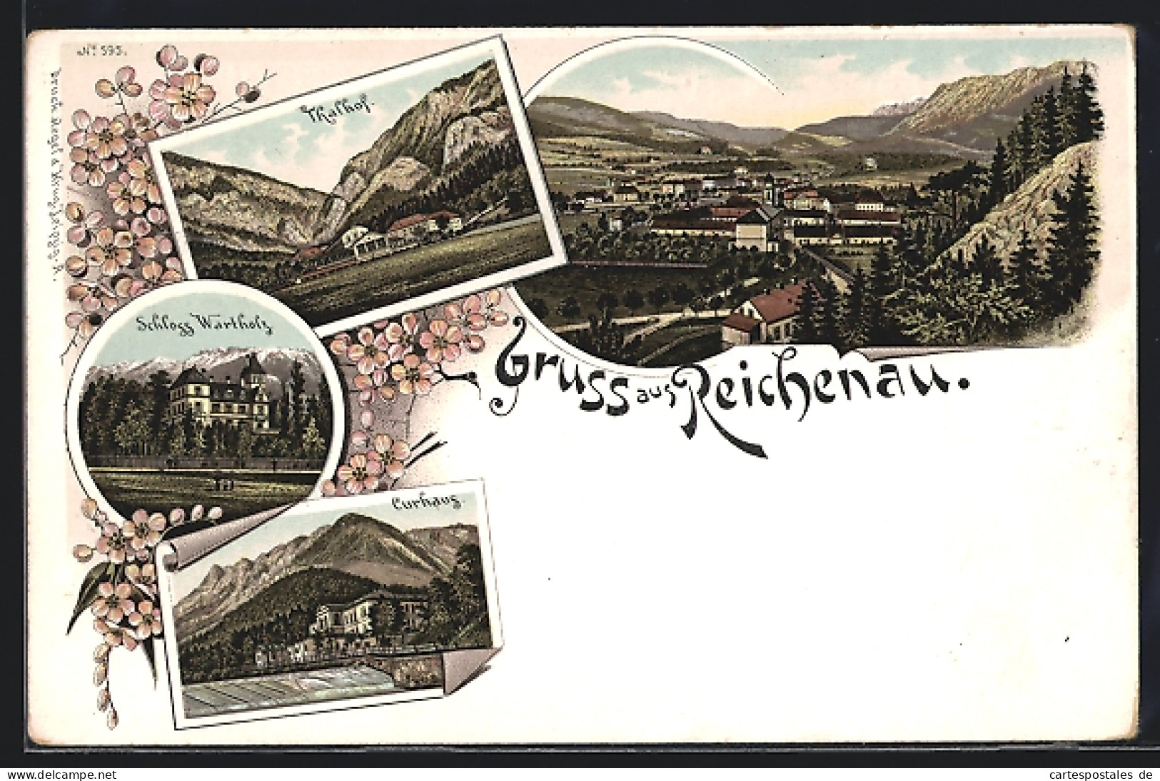 Lithographie Reichenau, Schloss Wartholz, Curhaus, Thalhof  - Autres & Non Classés