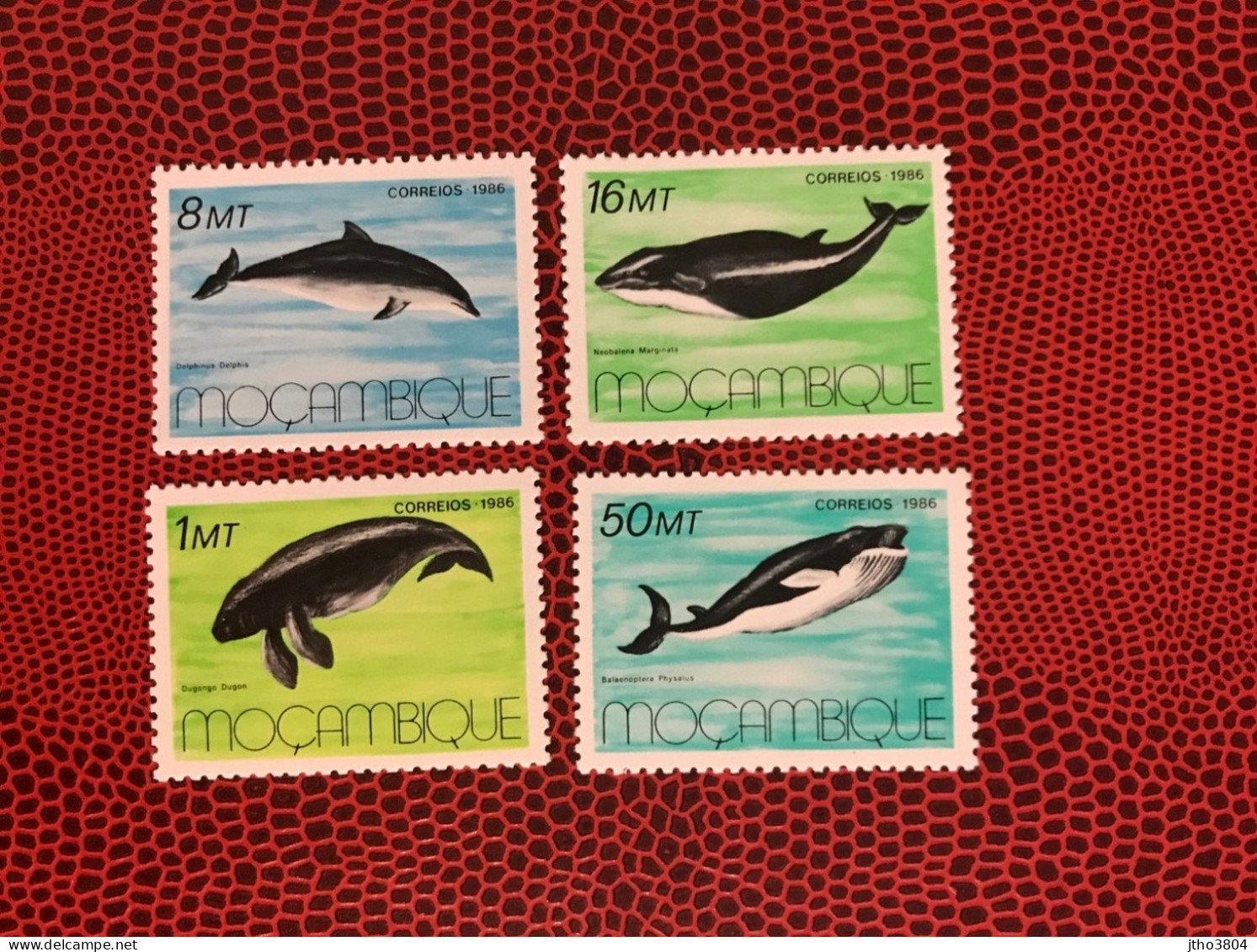 MOZAMBIQUE 1986 4v Neuf MNH ** Mi 1066 / 1069 Delfín Dolphin Golfinho Delfin Delfino MOÇAMBIQUE - Other & Unclassified