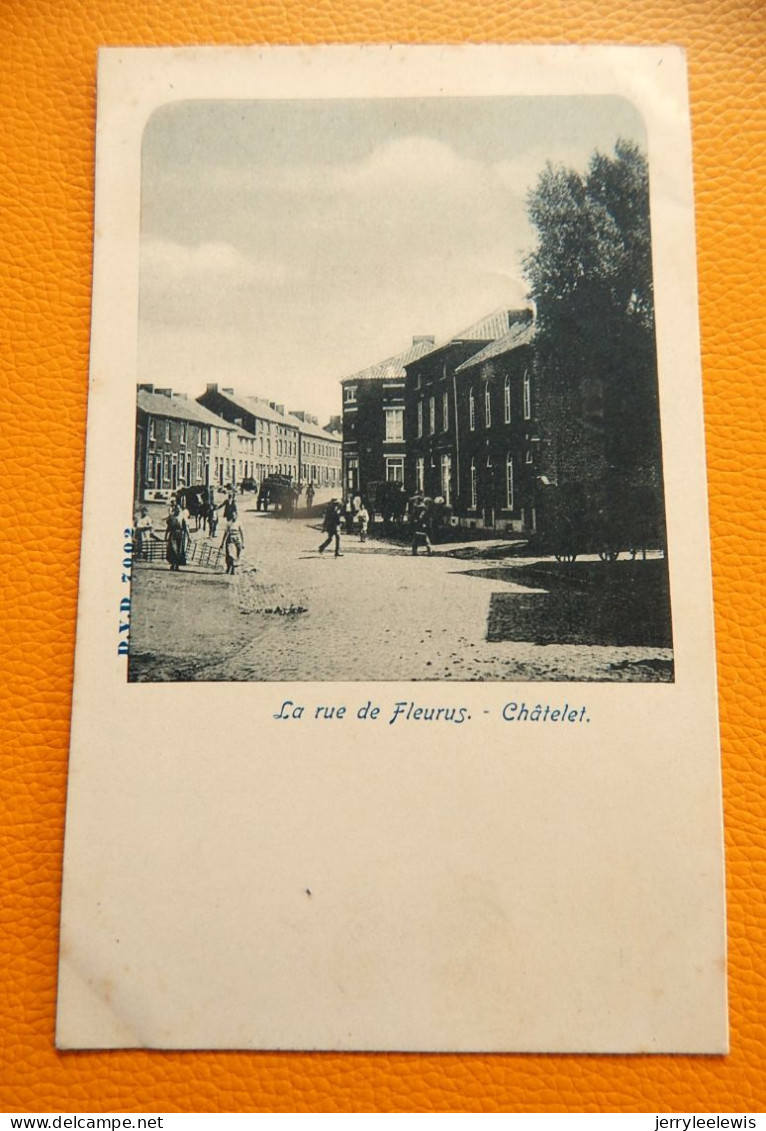 CHÂTELET     -  La Rue De Fleurus    -  1903 - Chatelet